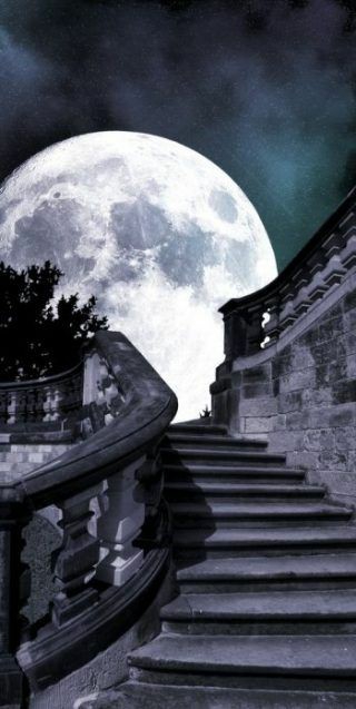 Moonlight night