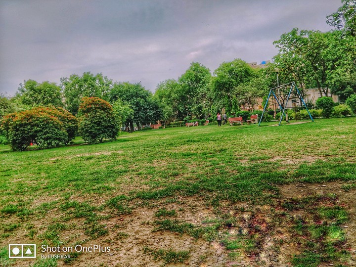 Nature