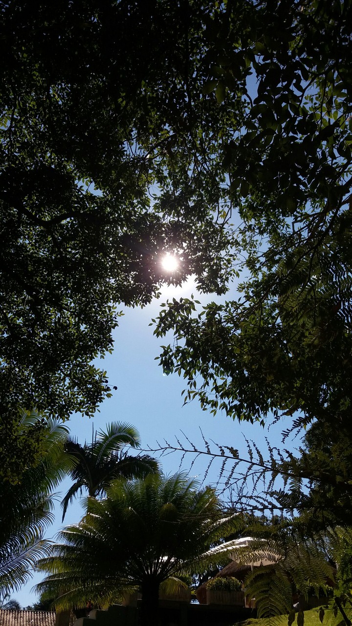 Nature 
