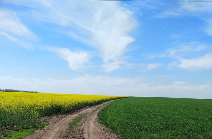Дорога