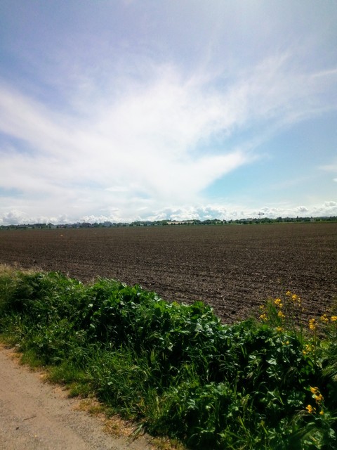 Frühling