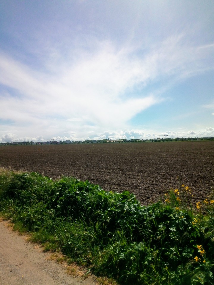 Frühling