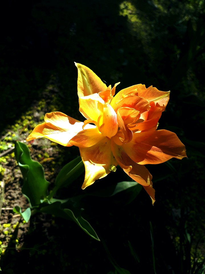 A light in the dark