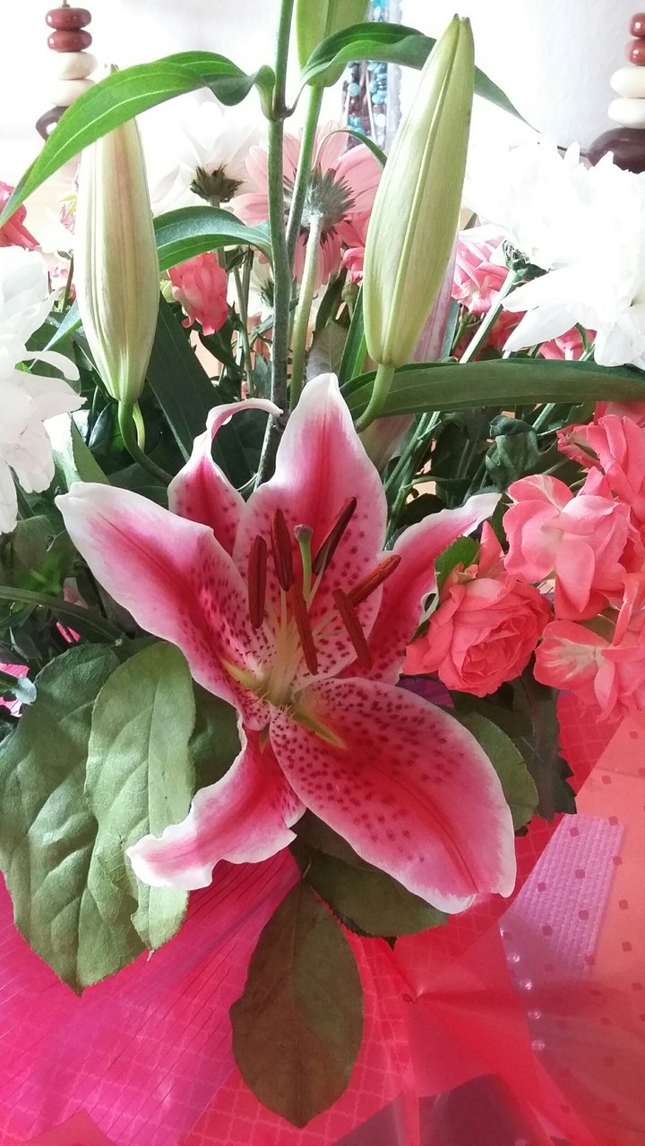 flowers