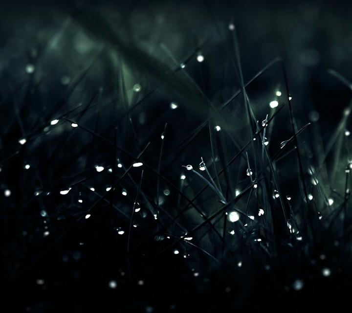 darkness