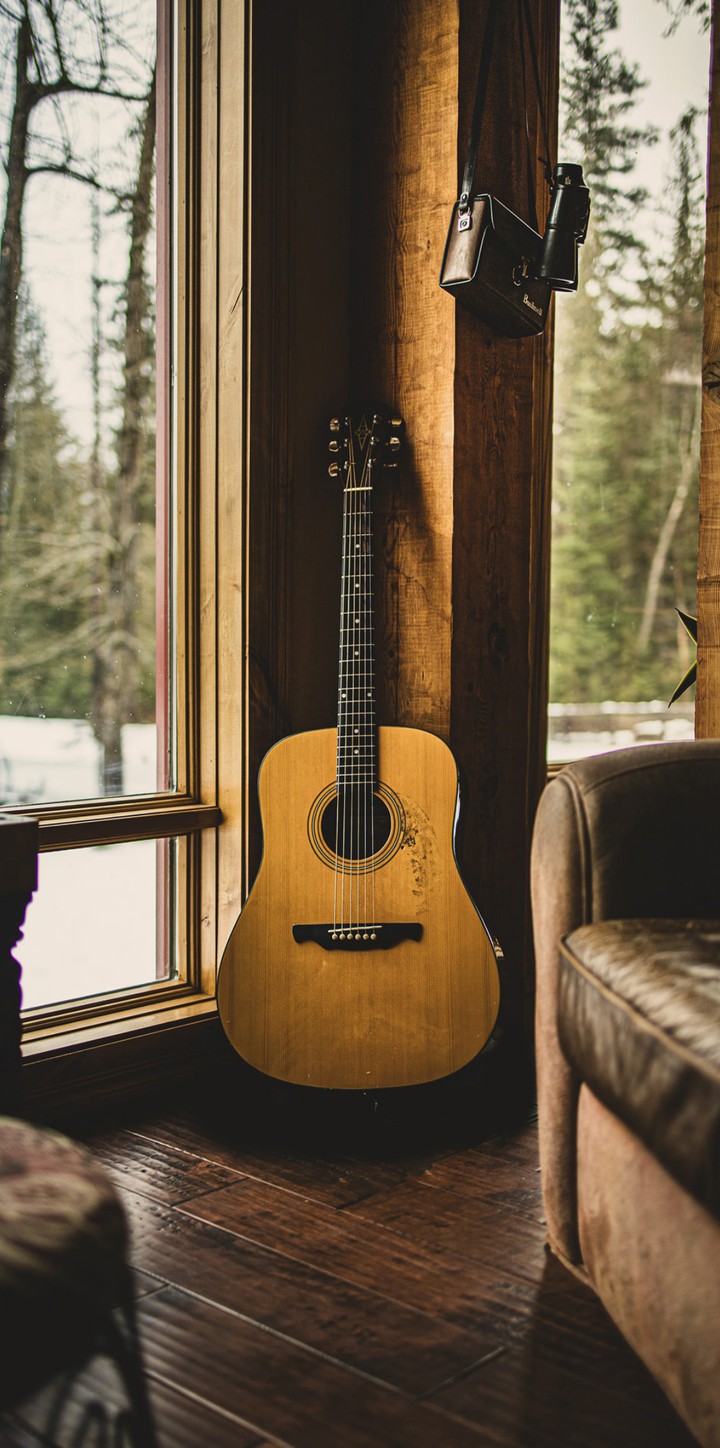 Guitar