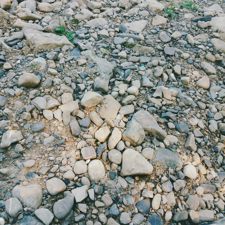 path