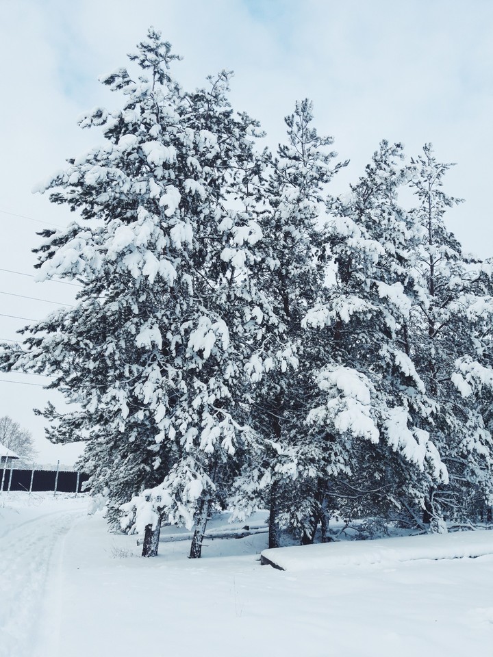 Snow