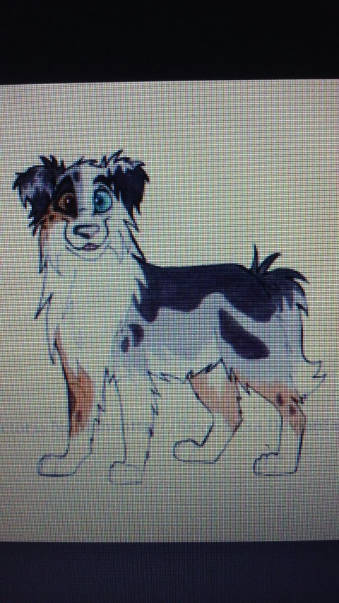 male dog