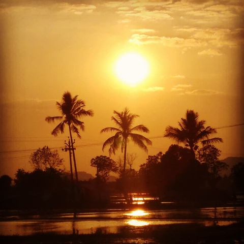 sunset...