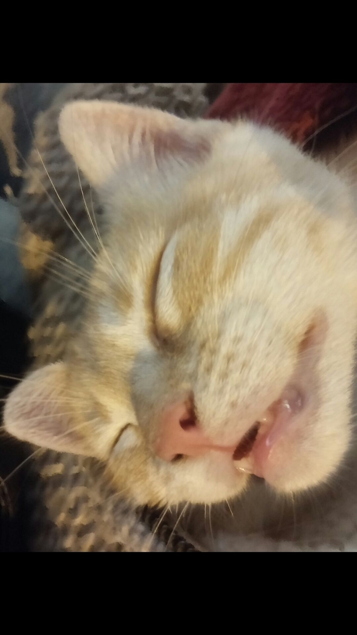 Sleeping