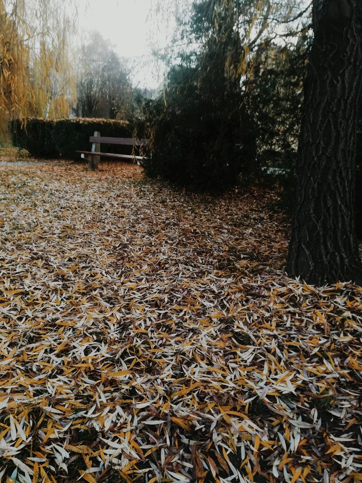 Autumn