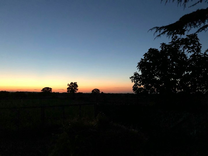 Buononotte