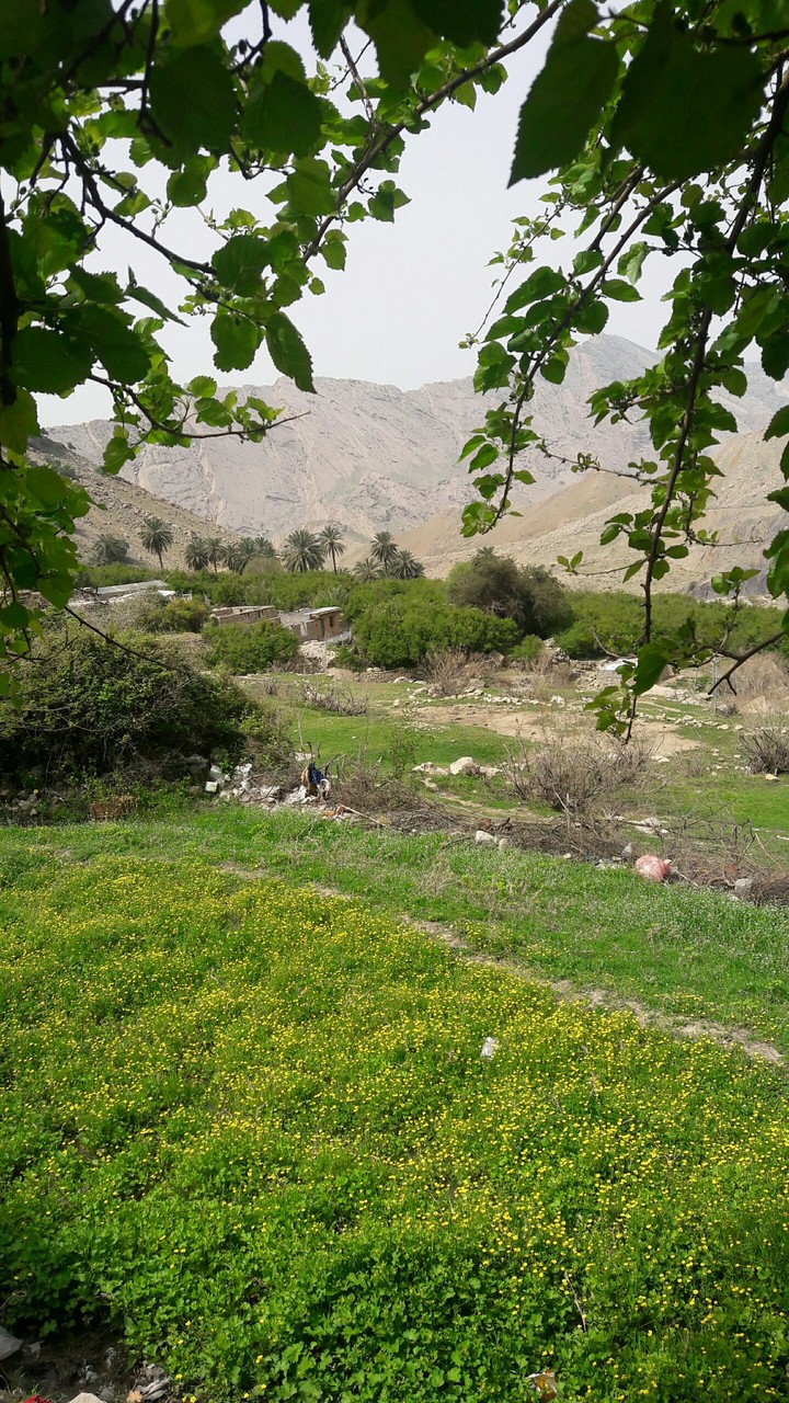 shevi vilage