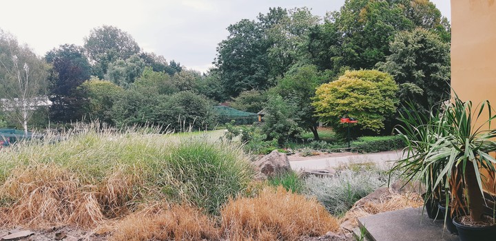 Botanica