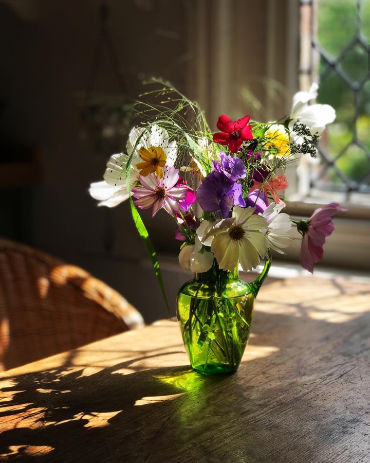 still life photography
