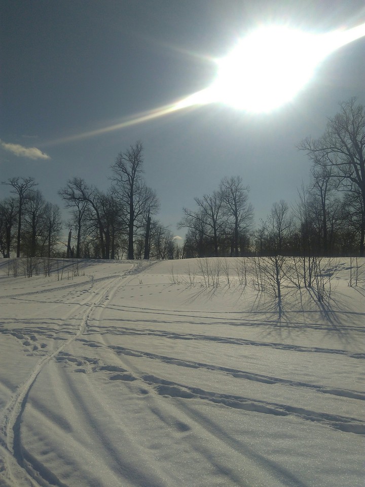 winter