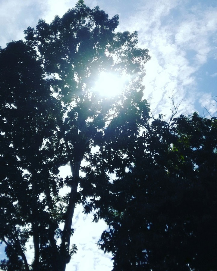 ⛅⛅