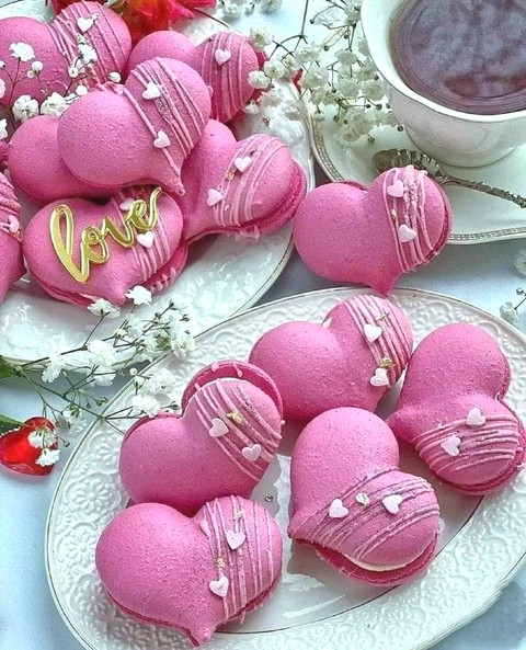 fondos de pantalla pink, magenta