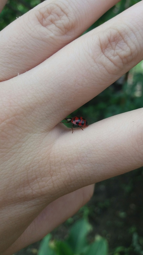 sfondi nail, hand