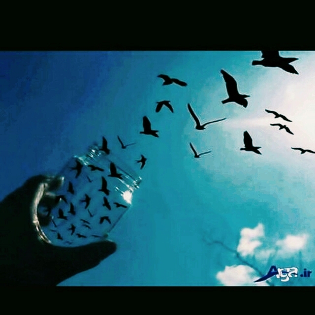skay