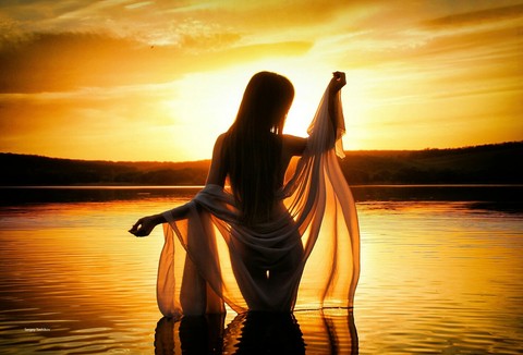 back light