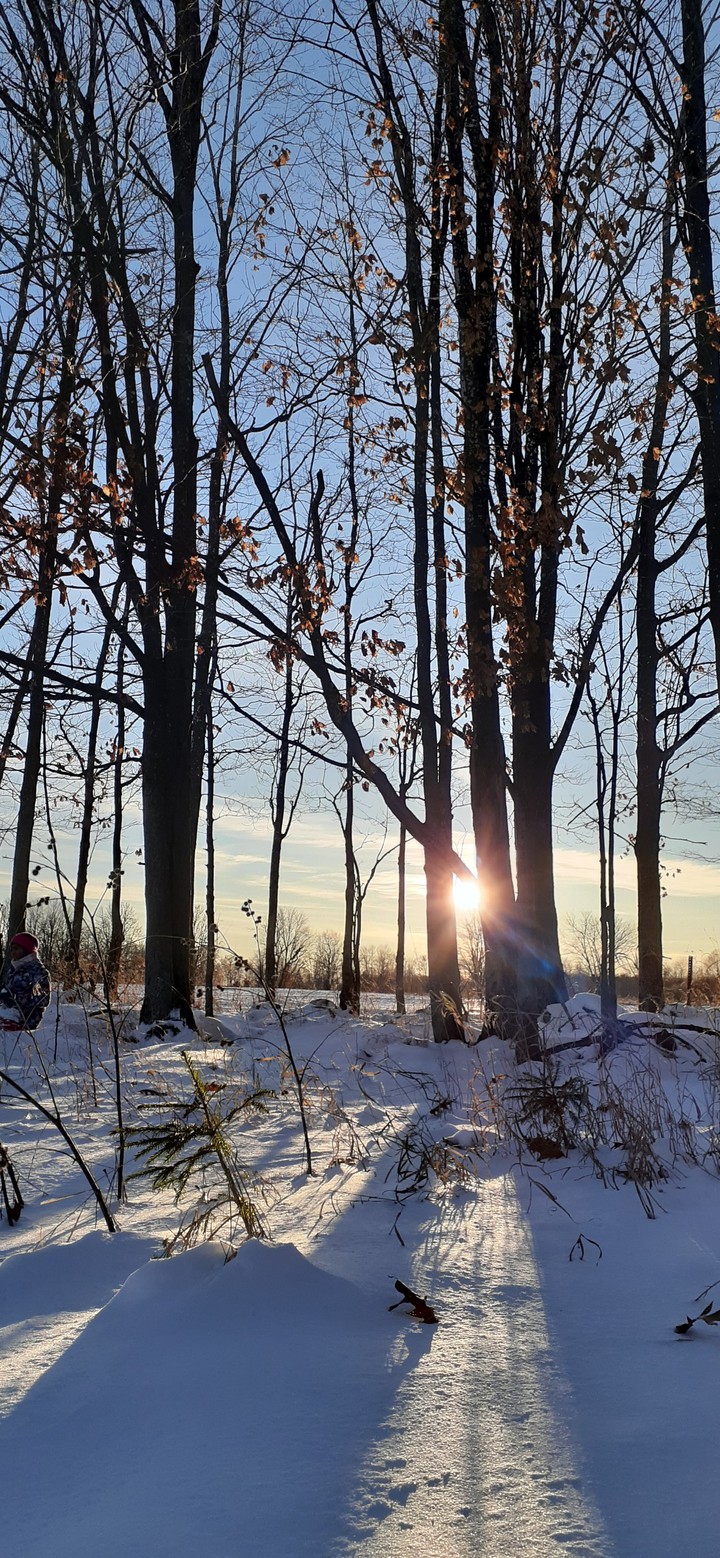 winter