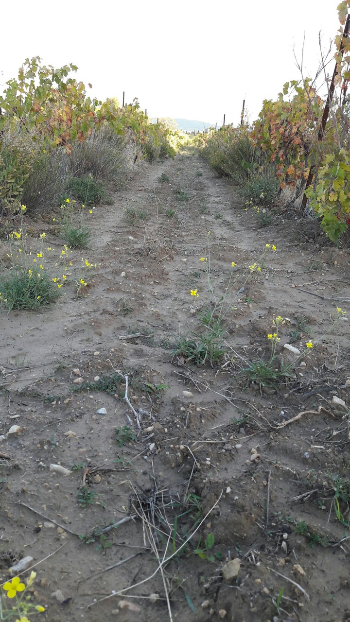 Walkway
