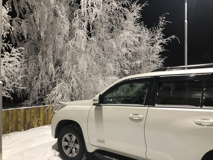 Winter white