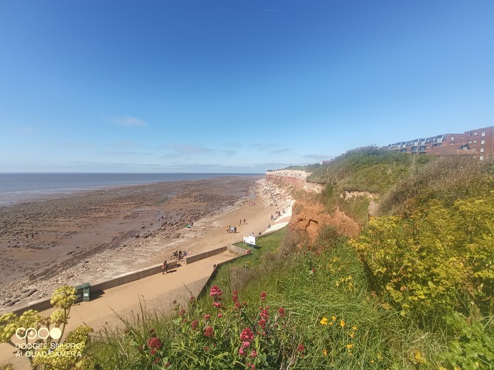 landscape seaside
