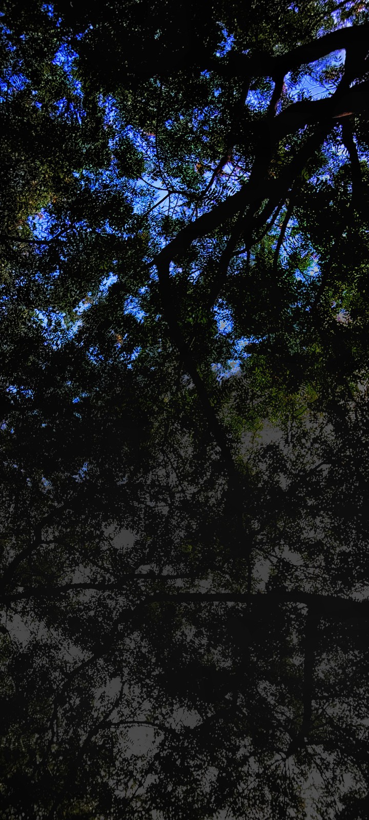 Bright days and the Dark days