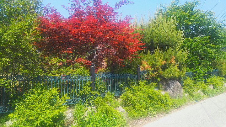 정원