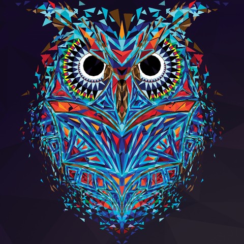 The owl