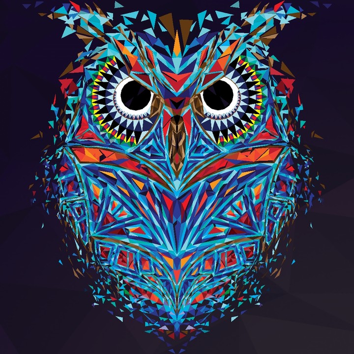 The owl
