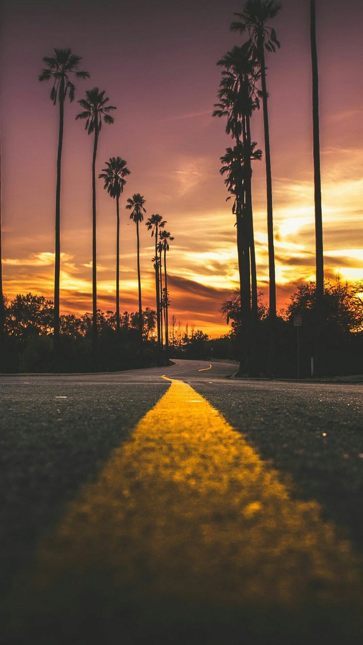 The way