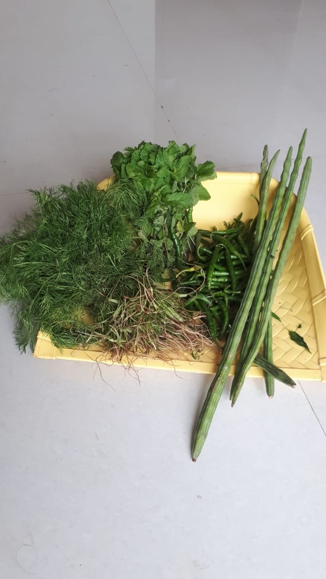 Fresh vegetables