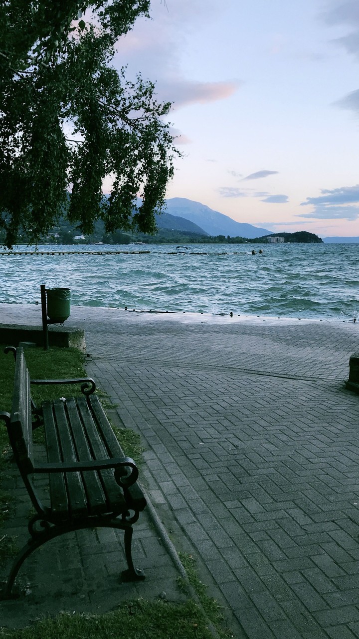 What A Lonely Bench