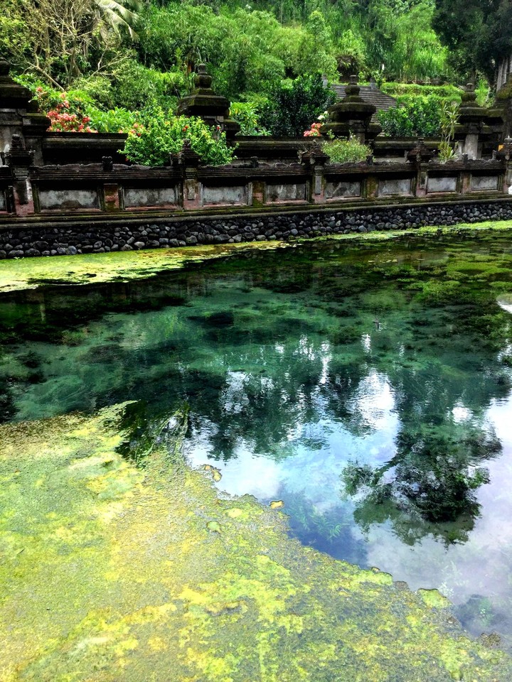 bali