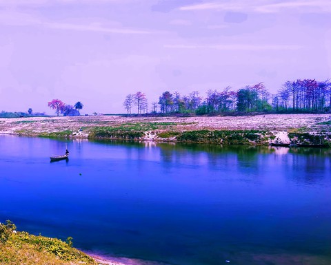 plant, lake háttérképek