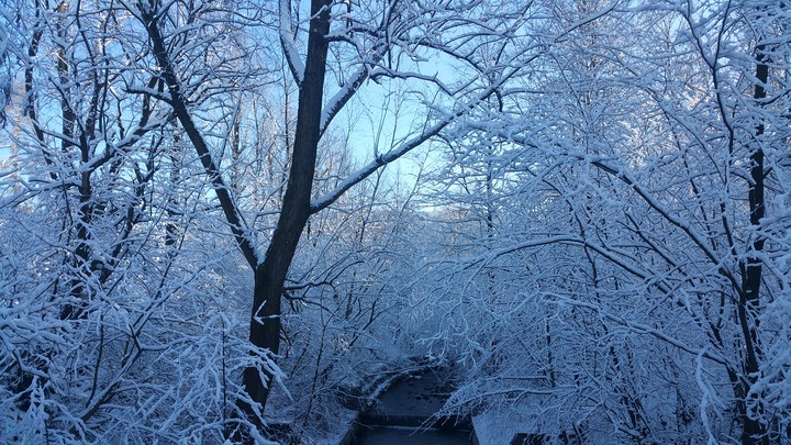 SNØW