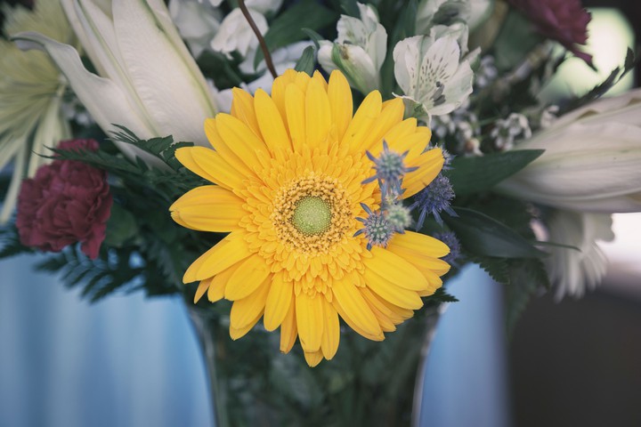 #yellow