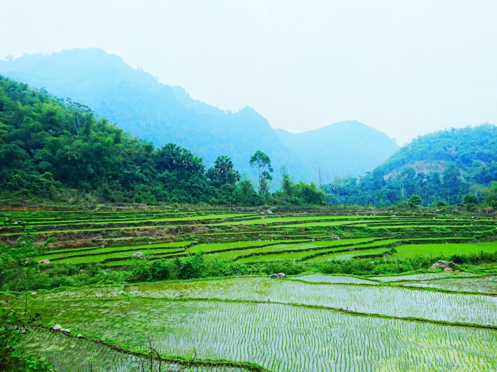 Highland - Vietnam