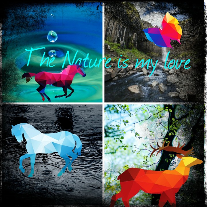 The Nature
