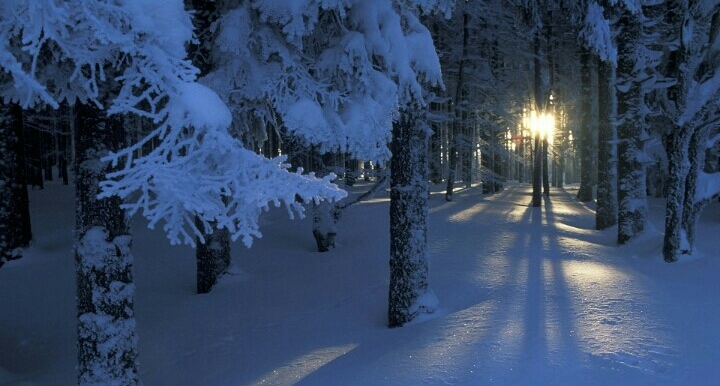 Winter morning