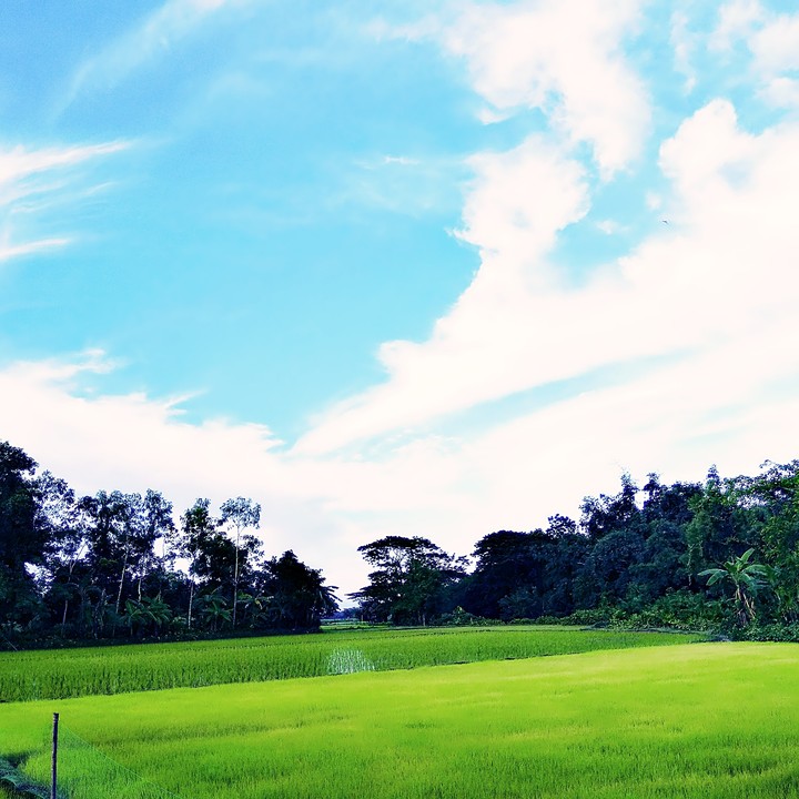 Beauty of nature
