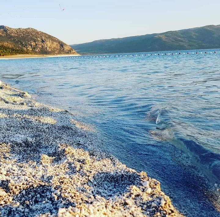 sea