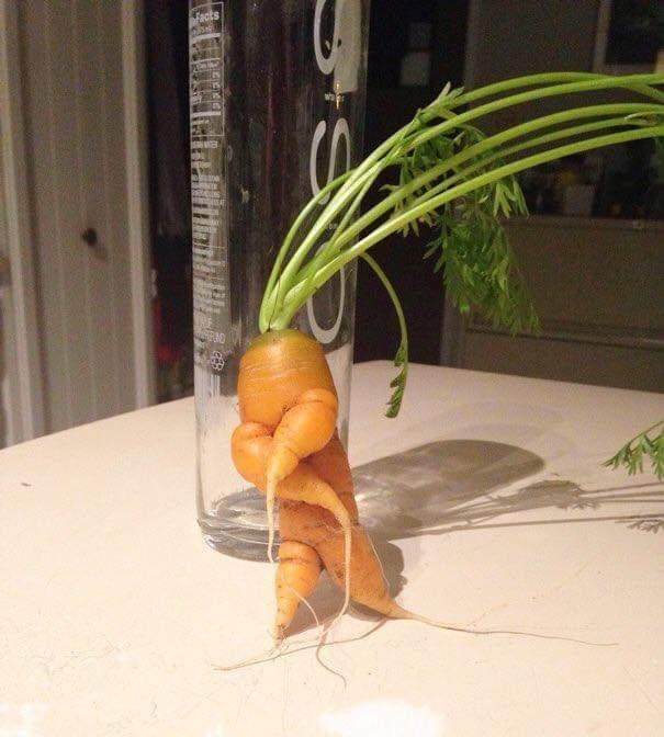 Let's dance