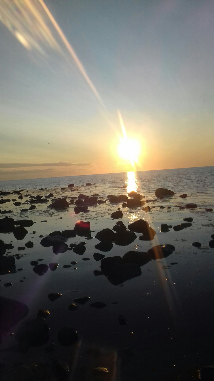 Meer