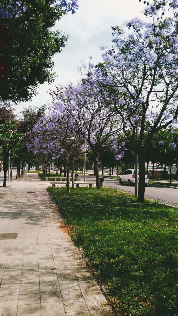 Springtime