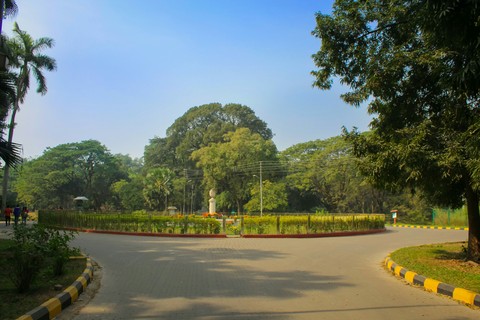 Park